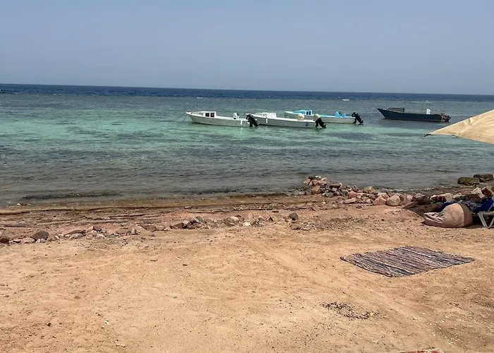 American House * Dahab